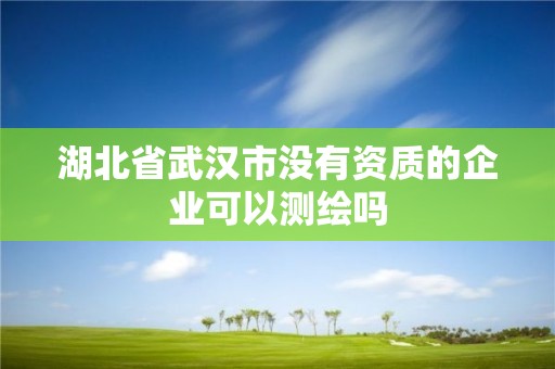 湖北省武漢市沒有資質的企業可以測繪嗎