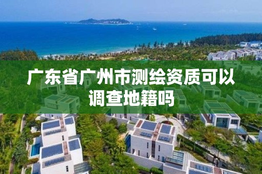 廣東省廣州市測繪資質(zhì)可以調(diào)查地籍嗎