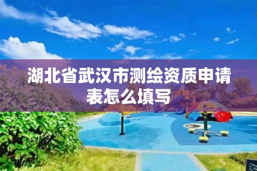 湖北省武漢市測繪資質申請表怎么填寫