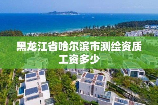 黑龍江省哈爾濱市測繪資質工資多少