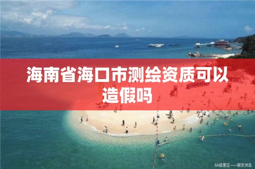 海南省海口市測繪資質可以造假嗎