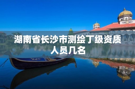 湖南省長沙市測繪丁級資質人員幾名