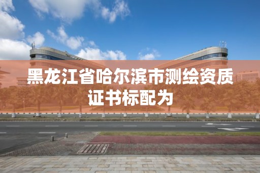 黑龍江省哈爾濱市測繪資質證書標配為