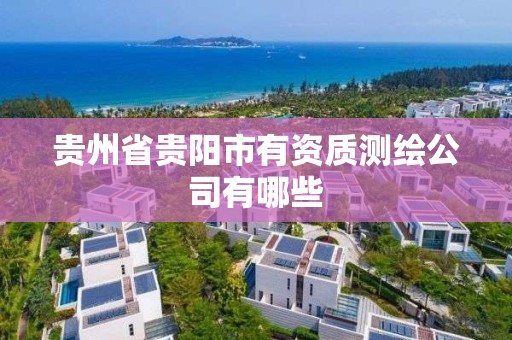 貴州省貴陽市有資質測繪公司有哪些