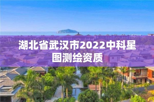 湖北省武漢市2022中科星圖測繪資質