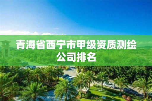 青海省西寧市甲級資質(zhì)測繪公司排名