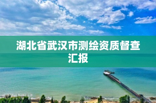 湖北省武漢市測繪資質督查匯報