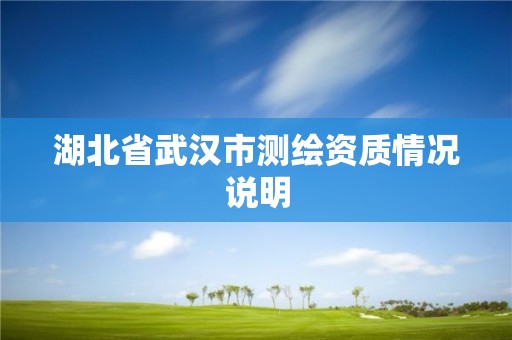 湖北省武漢市測繪資質情況說明