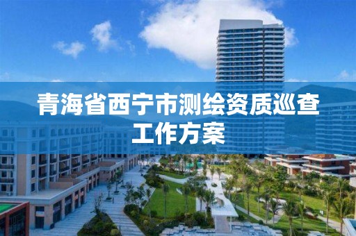 青海省西寧市測繪資質巡查工作方案