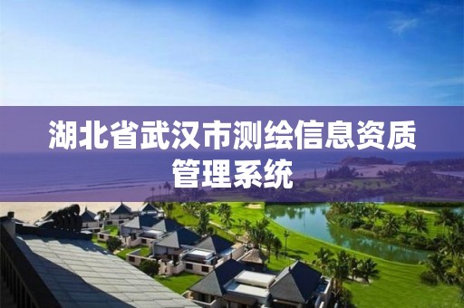 湖北省武漢市測繪信息資質管理系統(tǒng)