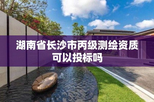 湖南省長沙市丙級測繪資質可以投標嗎