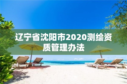 遼寧省沈陽市2020測繪資質管理辦法