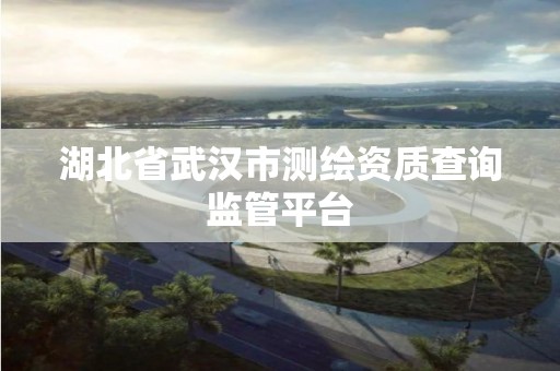 湖北省武漢市測繪資質查詢監管平臺