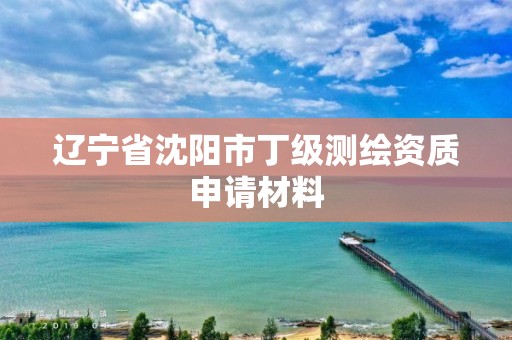 遼寧省沈陽市丁級測繪資質申請材料