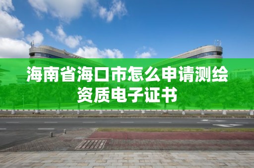 海南省海口市怎么申請測繪資質電子證書