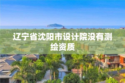 遼寧省沈陽市設計院沒有測繪資質