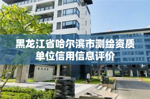 黑龍江省哈爾濱市測繪資質單位信用信息評價