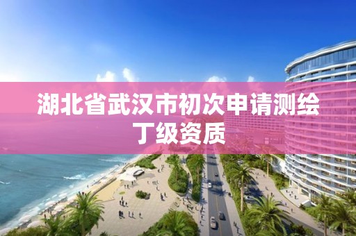 湖北省武漢市初次申請測繪丁級資質