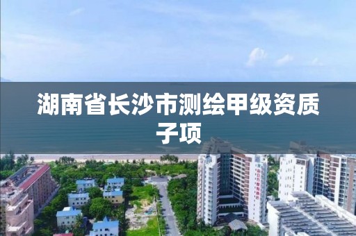 湖南省長沙市測繪甲級資質(zhì)子項