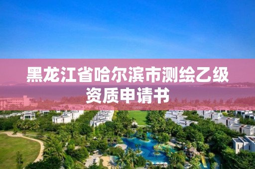 黑龍江省哈爾濱市測繪乙級資質申請書