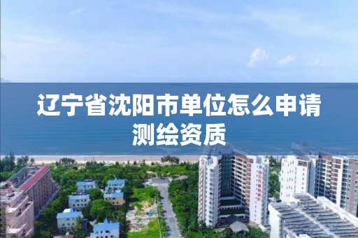 遼寧省沈陽市單位怎么申請測繪資質