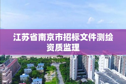 江蘇省南京市招標文件測繪資質監(jiān)理