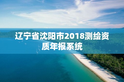 遼寧省沈陽市2018測繪資質年報系統