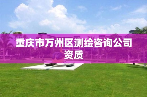 重慶市萬州區測繪咨詢公司資質