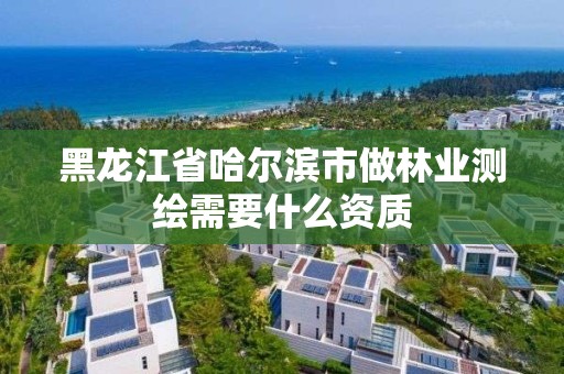 黑龍江省哈爾濱市做林業(yè)測(cè)繪需要什么資質(zhì)