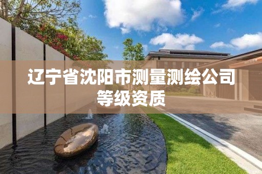 遼寧省沈陽市測量測繪公司等級資質