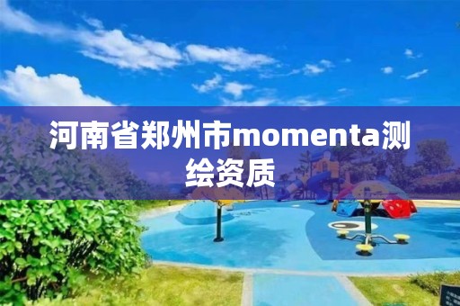 河南省鄭州市momenta測繪資質