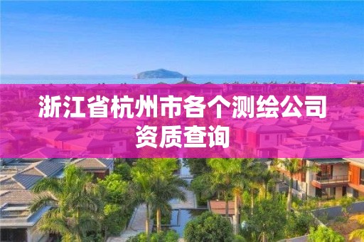 浙江省杭州市各個(gè)測(cè)繪公司資質(zhì)查詢(xún)