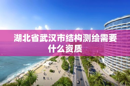 湖北省武漢市結(jié)構(gòu)測(cè)繪需要什么資質(zhì)