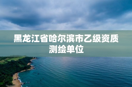 黑龍江省哈爾濱市乙級資質測繪單位