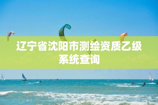 遼寧省沈陽(yáng)市測(cè)繪資質(zhì)乙級(jí)系統(tǒng)查詢(xún)