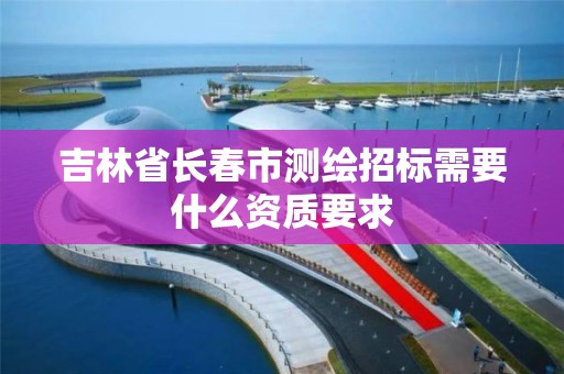 吉林省長春市測繪招標需要什么資質要求