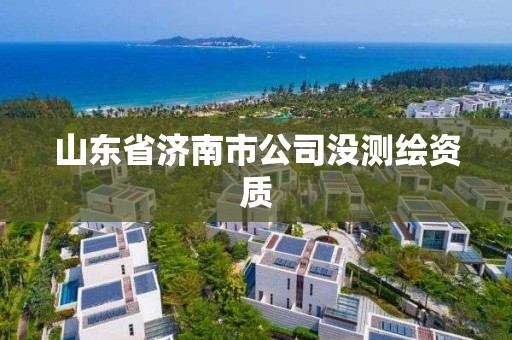 山東省濟南市公司沒測繪資質