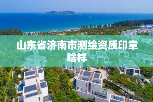 山東省濟南市測繪資質印章啥樣