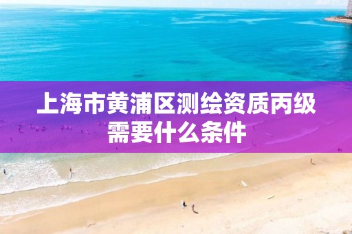 上海市黃浦區測繪資質丙級需要什么條件