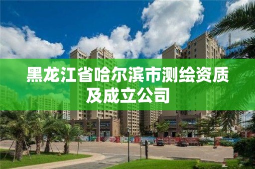 黑龍江省哈爾濱市測(cè)繪資質(zhì)及成立公司