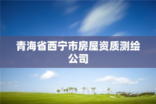 青海省西寧市房屋資質測繪公司