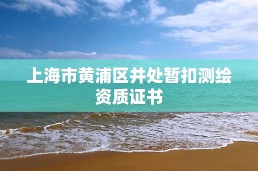 上海市黃浦區并處暫扣測繪資質證書