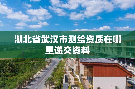 湖北省武漢市測(cè)繪資質(zhì)在哪里遞交資料