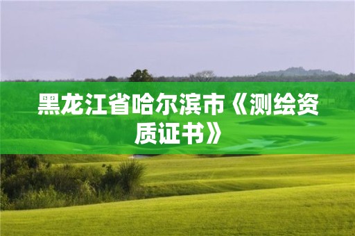 黑龍江省哈爾濱市《測繪資質(zhì)證書》