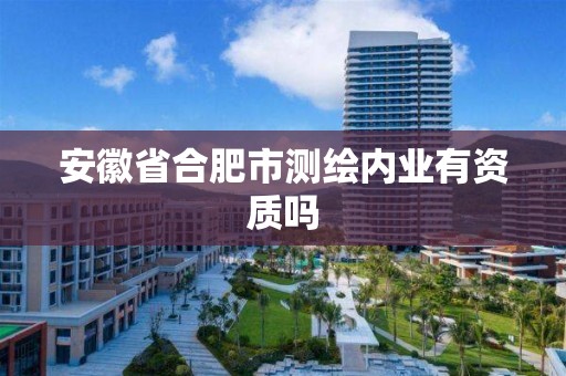 安徽省合肥市測繪內業有資質嗎