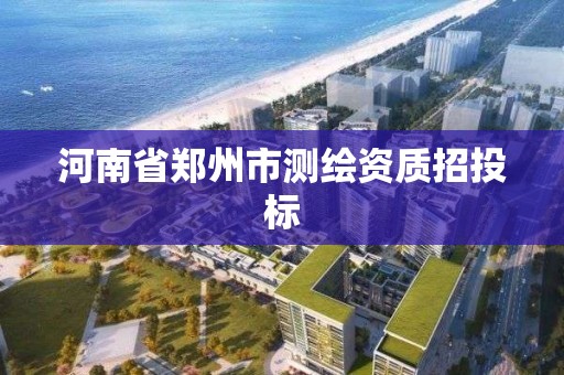 河南省鄭州市測繪資質(zhì)招投標(biāo)