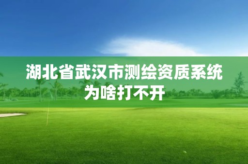 湖北省武漢市測繪資質系統為啥打不開