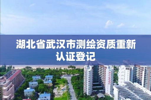 湖北省武漢市測繪資質重新認證登記