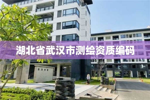 湖北省武漢市測繪資質編碼