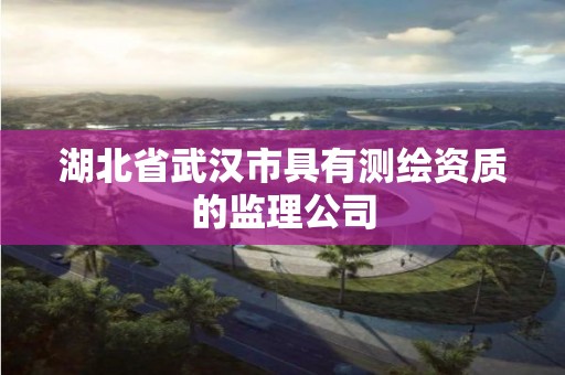 湖北省武漢市具有測繪資質的監理公司